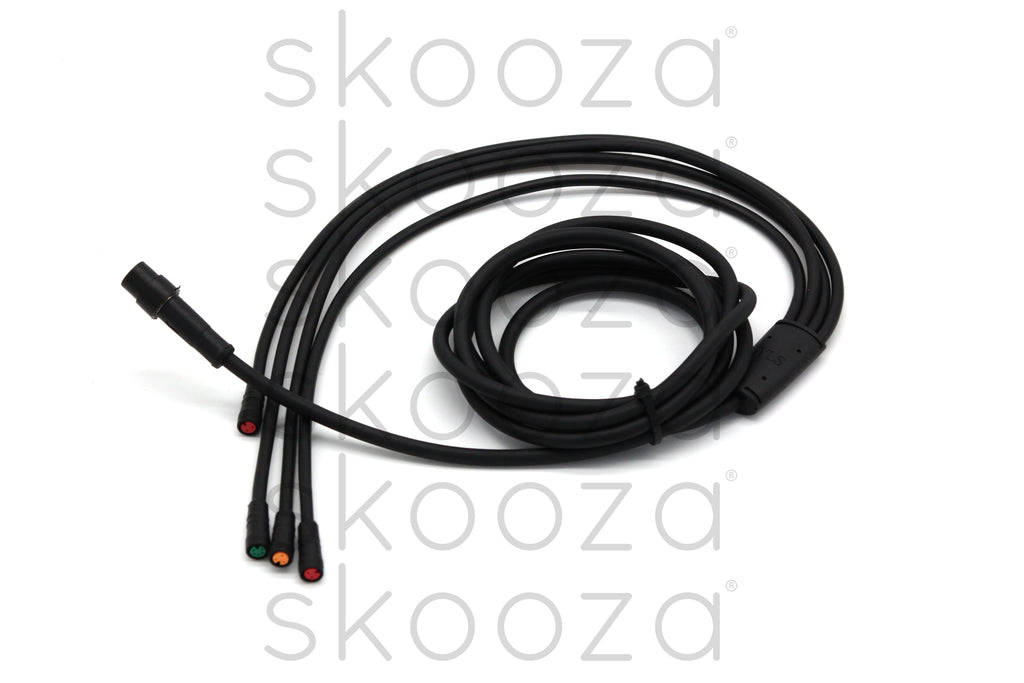 Main Wire Harness